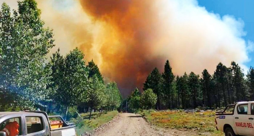 Siguen los incendios forestales en Bariloche y Aluminé
