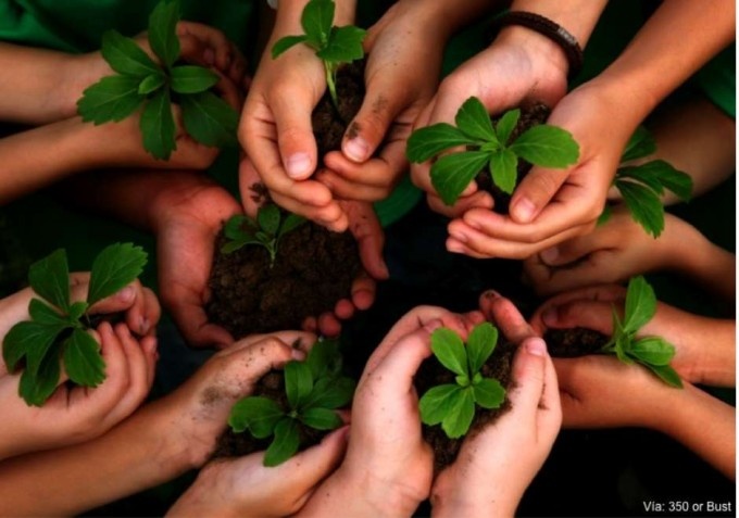 27 De Septiembre “día Nacional De La Conciencia Ambiental”